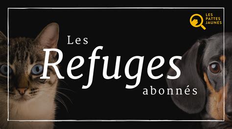 pattes jaunes|liste des refuges pour animaux.